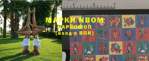 бошки Белокуриха