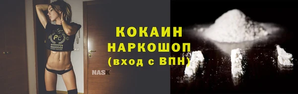 бошки Белокуриха